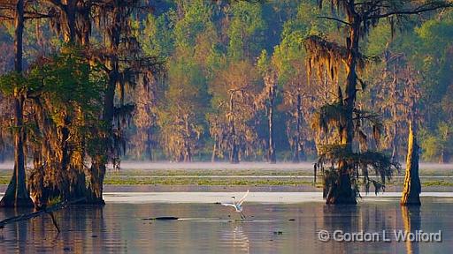 Lake Martin_45466.jpg - Photographed near Breaux Bridge, Louisiana, USA.